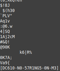 cropped screenshot of a strings terminal readout revealing the flag: DC610-N0-57R1NG5-0N-M3